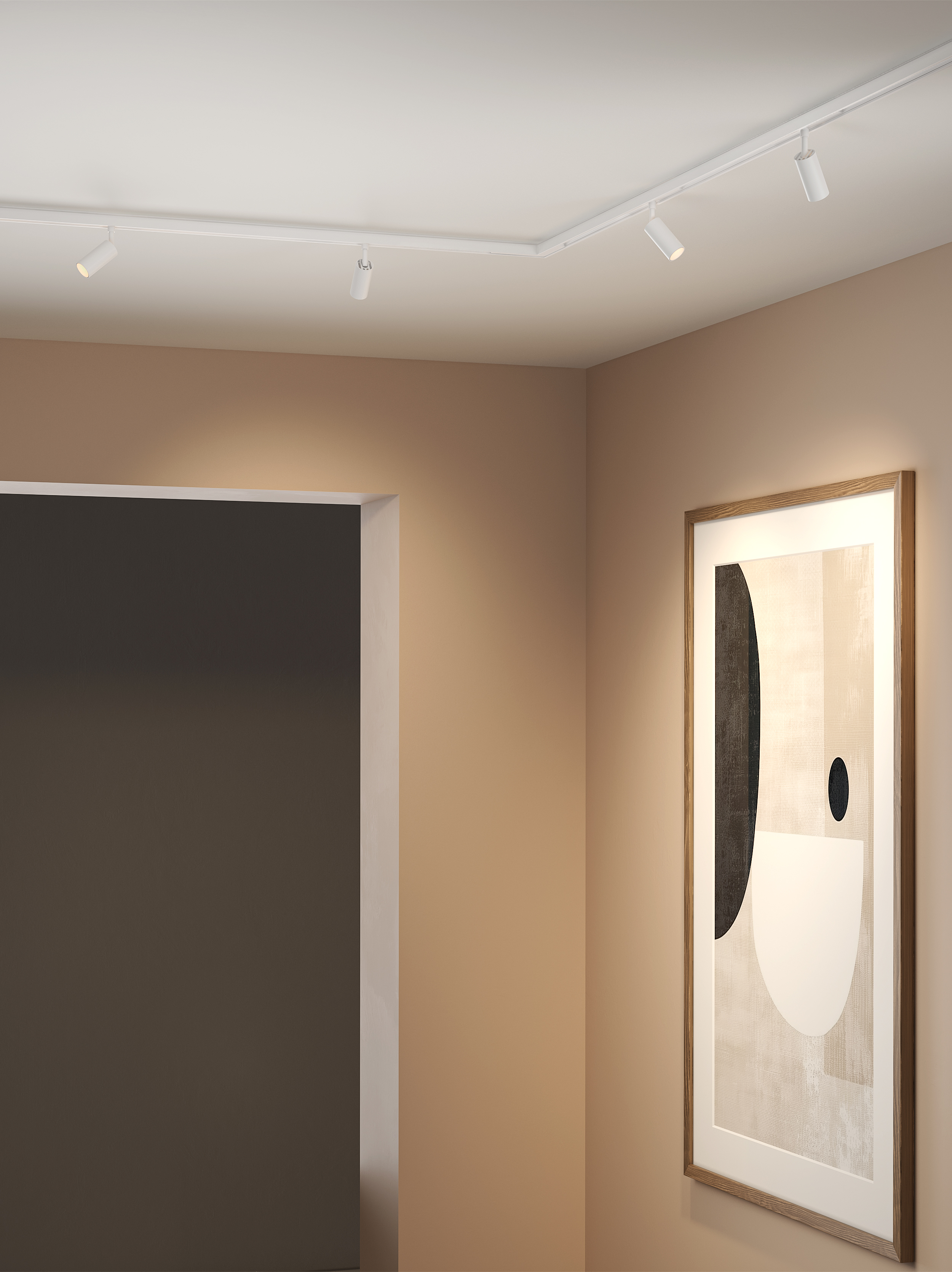 Can 30 Spot 48V Track DALI mat wit