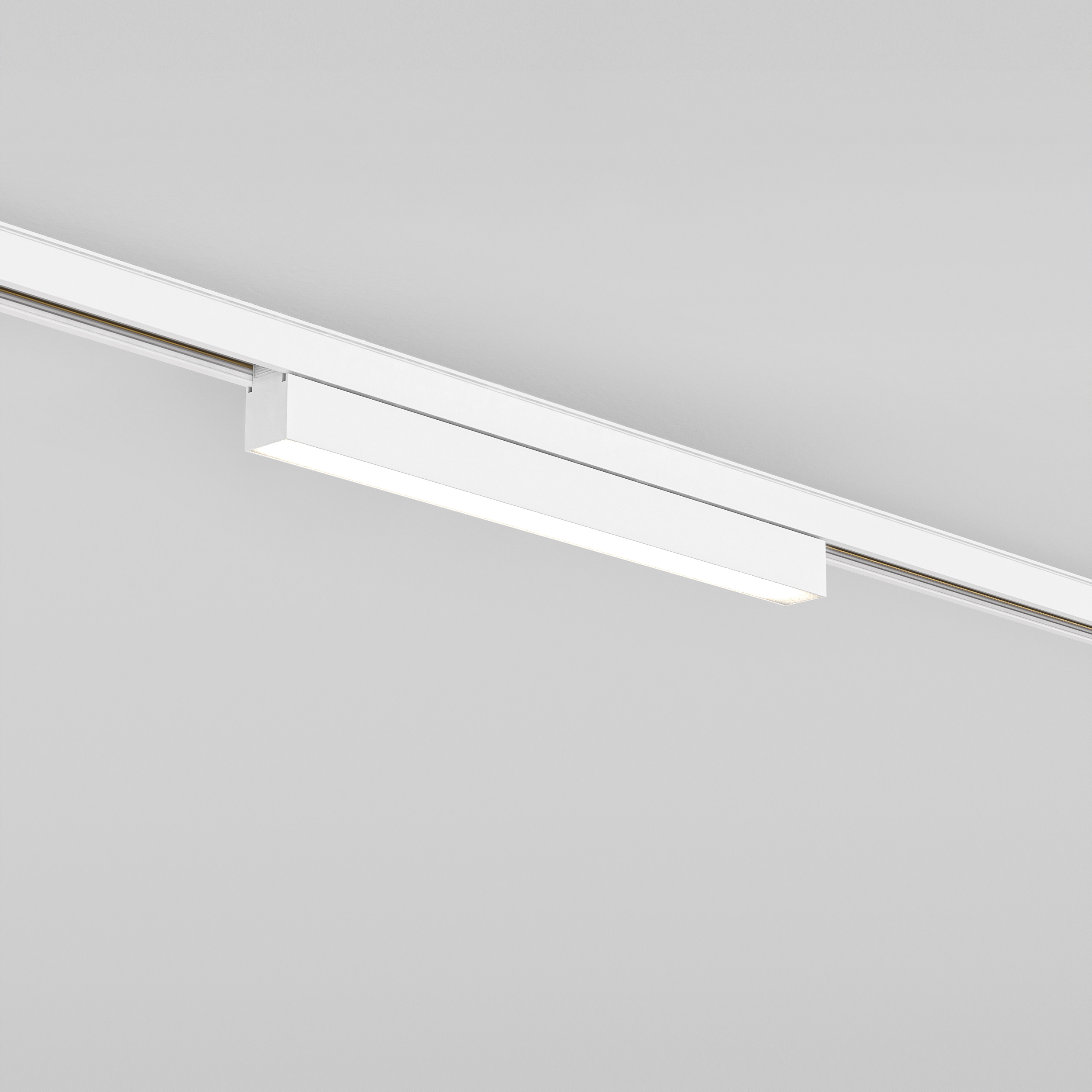 Linear 300 Fixed 48V Track DALI mat wit