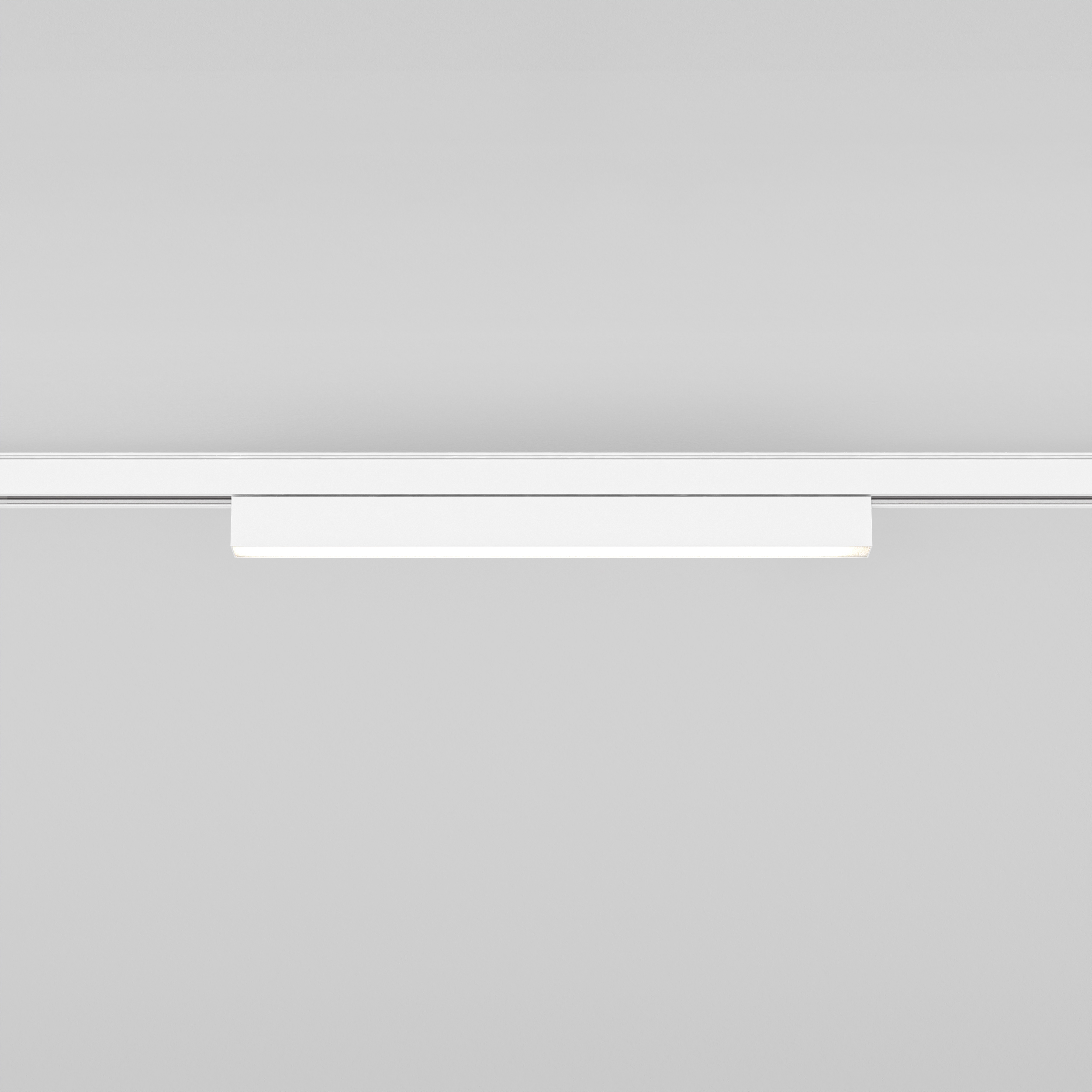 Linear 300 Fixed 48V Track DALI mat wit