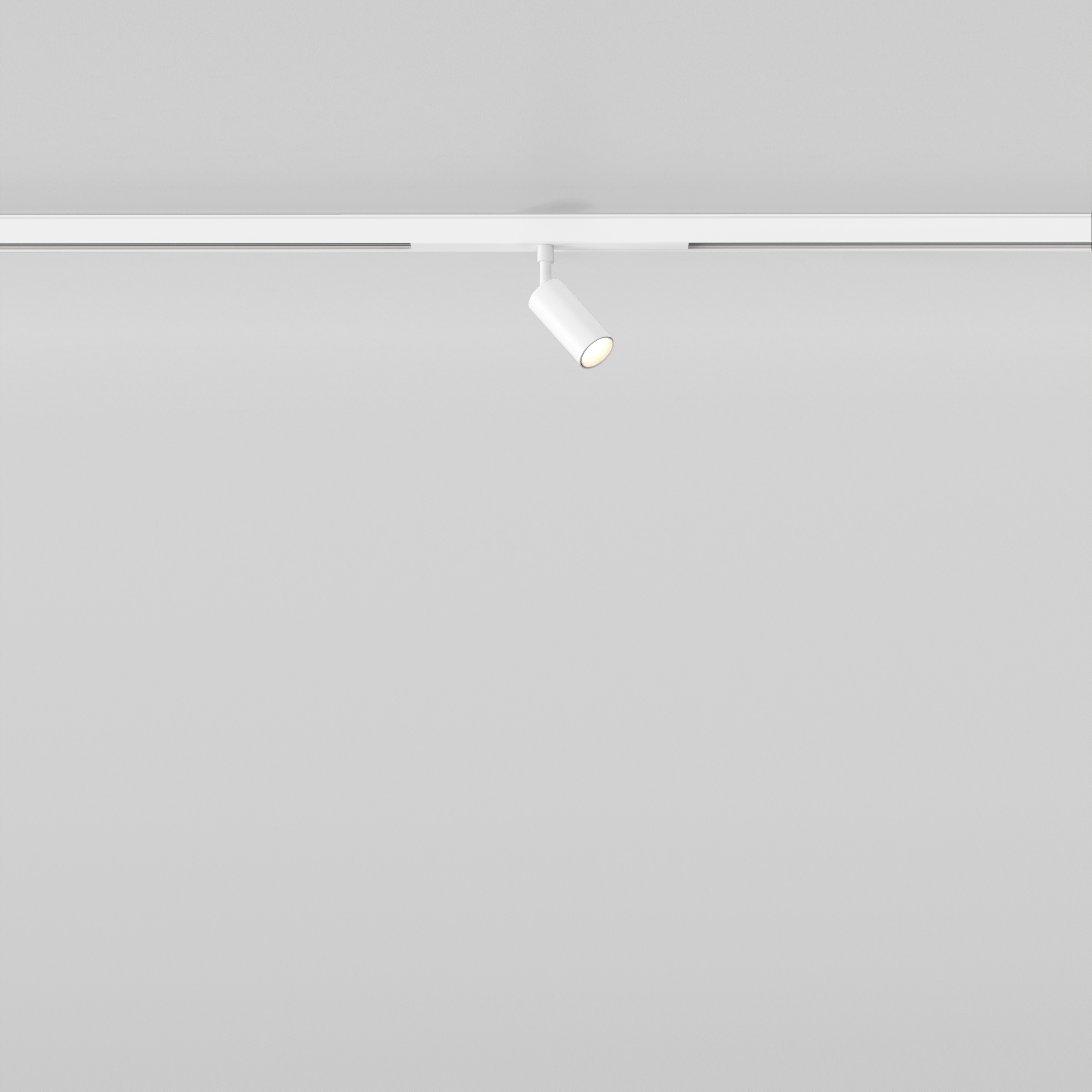 Can 30 Spot 48V Track DALI mat wit