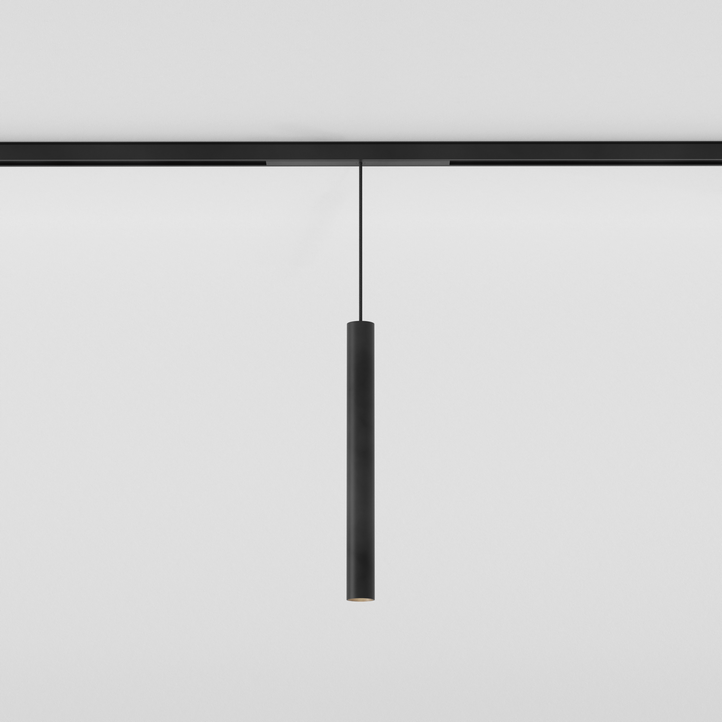 Can 30 Pendant 48V Track DALI